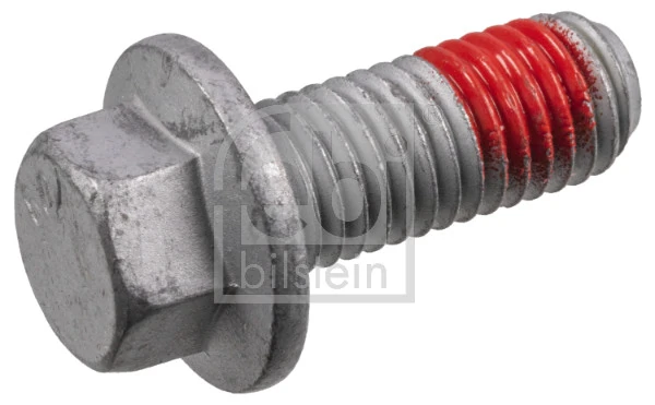 Bolt, brake caliper